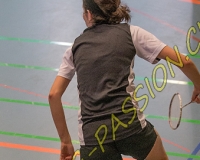 1BULLMINTON - 0536
